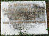 image of grave number 588200